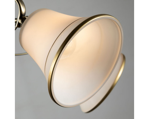 Оформить заказ Люстра на штанге ARTE Lamp A2709PL-5AB| VIVID-LIGHT.RU