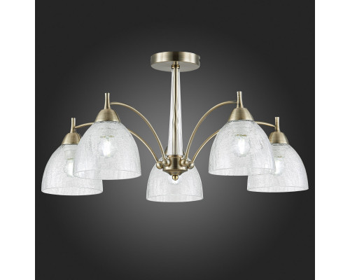 Оформить заказ Люстра на штанге Evoluce SLE104402-05| VIVID-LIGHT.RU