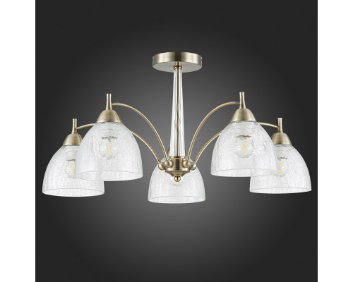 Оформить заказ Люстра на штанге Evoluce SLE104402-05| VIVID-LIGHT.RU