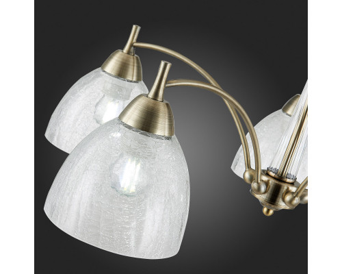 Оформить заказ Люстра на штанге Evoluce SLE104402-05| VIVID-LIGHT.RU