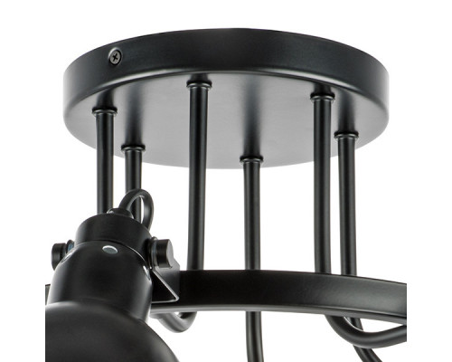 Заказать Люстра на штанге Lightstar 761067| VIVID-LIGHT.RU