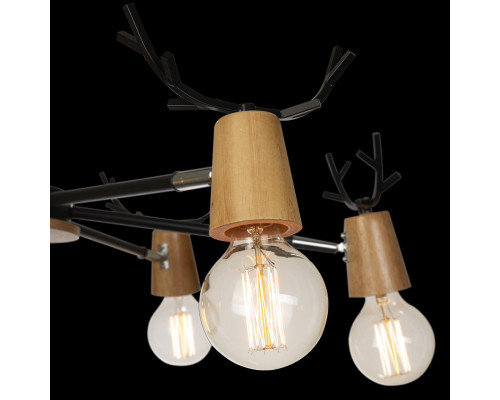 Заказать Люстра на штанге LOFT IT 10024/6 Black| VIVID-LIGHT.RU