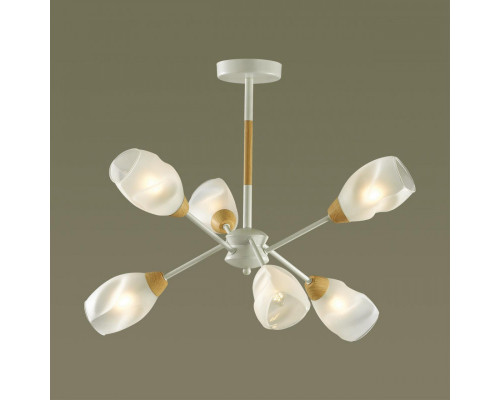 Оформить заказ Люстра на штанге LUMION 5210/6C| VIVID-LIGHT.RU