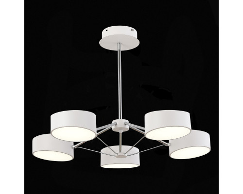 Оформить заказ Люстра на штанге Evoluce SLE6005-502-05| VIVID-LIGHT.RU