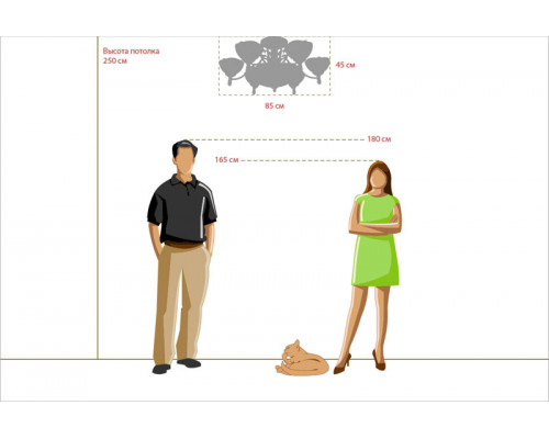 Заказать Люстра на штанге Chiaro 254012909| VIVID-LIGHT.RU