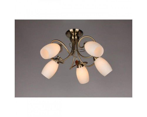 Купить Люстра на штанге OML-37227-05 Omnilux| VIVID-LIGHT.RU