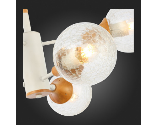 Оформить заказ Люстра на штанге Evoluce SLE109502-06| VIVID-LIGHT.RU