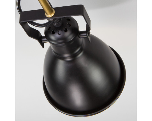 Заказать Люстра на штанге Eurosvet 70112/8 черный| VIVID-LIGHT.RU