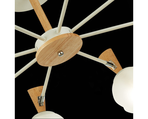 Оформить заказ Люстра на штанге Evoluce SLE220702-08| VIVID-LIGHT.RU