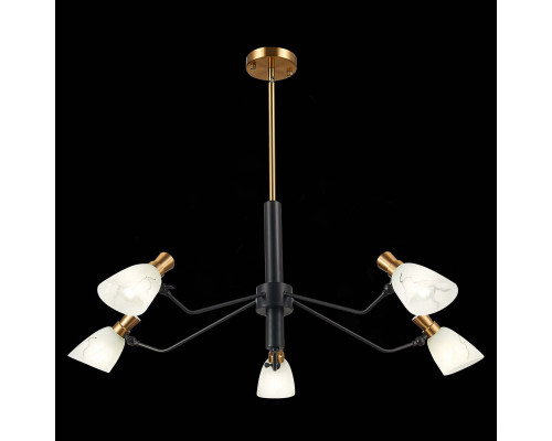 Заказать Люстра на штанге Evoluce SLE205403-05| VIVID-LIGHT.RU