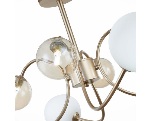 Оформить заказ Люстра на штанге Evoluce SLE220922-08| VIVID-LIGHT.RU