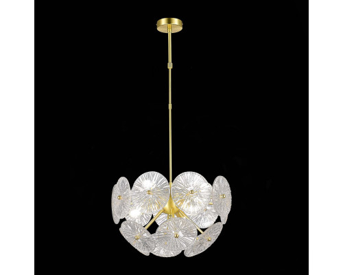 Оформить заказ Люстра на штанге ST-Luce SL1657.203.06| VIVID-LIGHT.RU