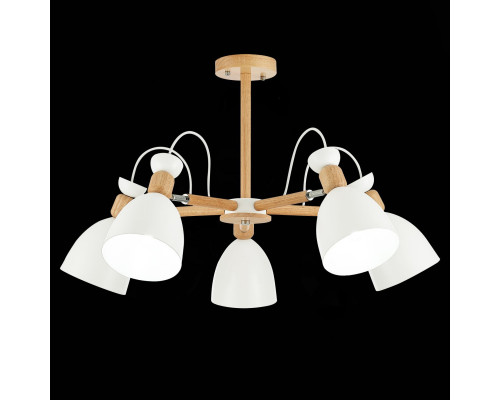 Купить Люстра на штанге Evoluce SLE103802-05| VIVID-LIGHT.RU