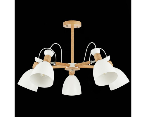 Купить Люстра на штанге Evoluce SLE103802-05| VIVID-LIGHT.RU