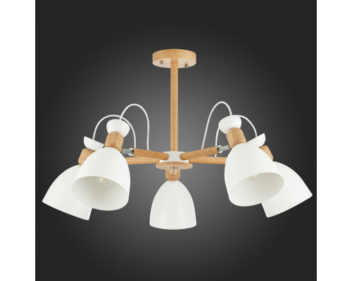 Купить Люстра на штанге Evoluce SLE103802-05| VIVID-LIGHT.RU