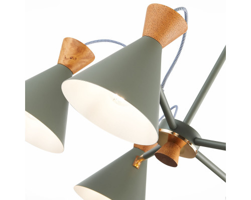 Купить Люстра на штанге Evoluce SLE125112-05| VIVID-LIGHT.RU