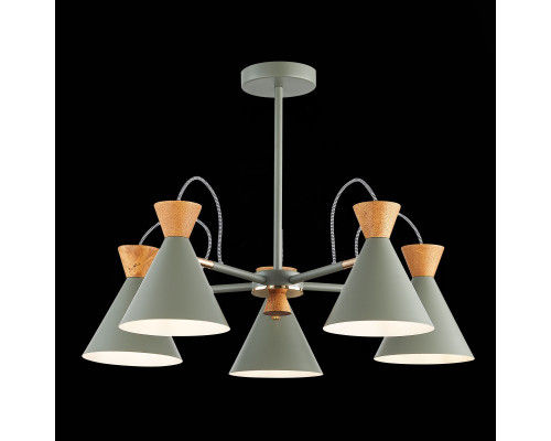 Купить Люстра на штанге Evoluce SLE125112-05| VIVID-LIGHT.RU