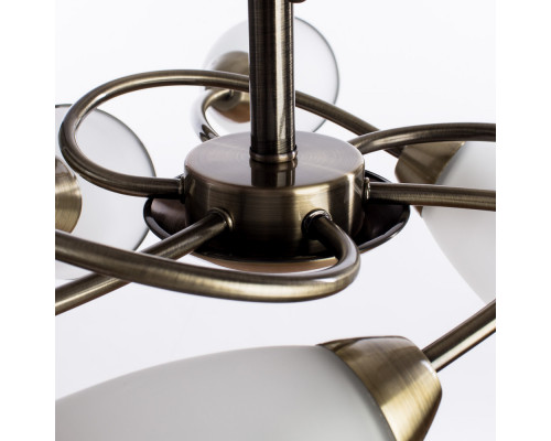 Сделать заказ Люстра на штанге ARTE Lamp A6059PL-6AB| VIVID-LIGHT.RU