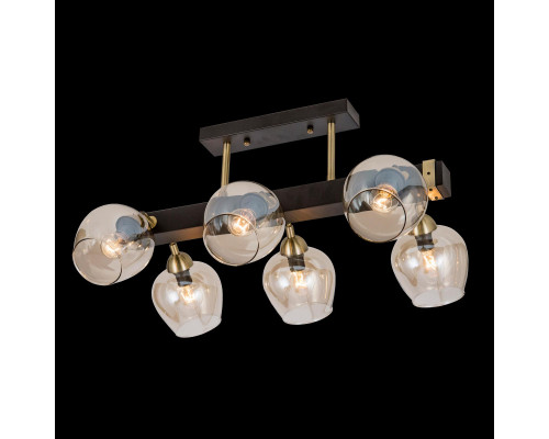 Сделать заказ Люстра на штанге Citilux CL118165| VIVID-LIGHT.RU