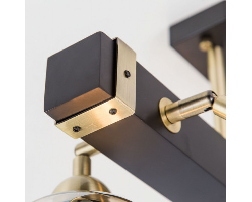 Сделать заказ Люстра на штанге Citilux CL118165| VIVID-LIGHT.RU