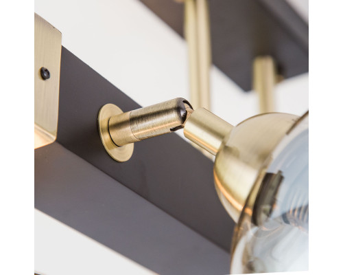 Сделать заказ Люстра на штанге Citilux CL118165| VIVID-LIGHT.RU