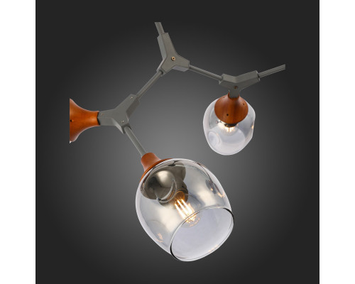 Сделать заказ Люстра на штанге Evoluce SLE113402-05| VIVID-LIGHT.RU