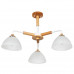 Купить Люстра на штанге ARTE Lamp A5032PL-3BR| VIVID-LIGHT.RU