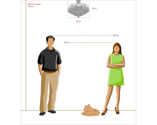 Купить Люстра на штанге MW-Light 232016506| VIVID-LIGHT.RU