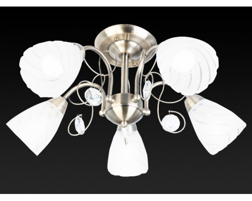 Заказать Люстра на штанге TOPLIGHT TL7110X-05AB| VIVID-LIGHT.RU