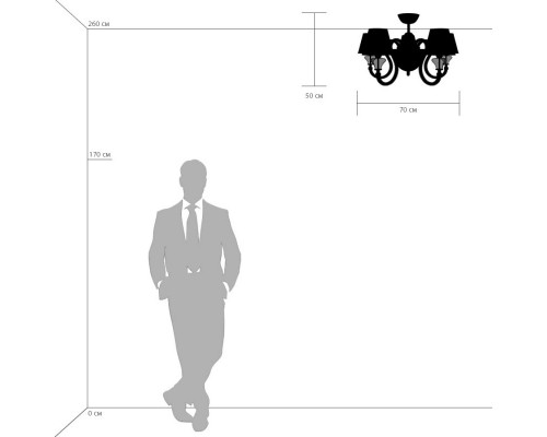 Сделать заказ Люстра на штанге Lightstar 809056| VIVID-LIGHT.RU