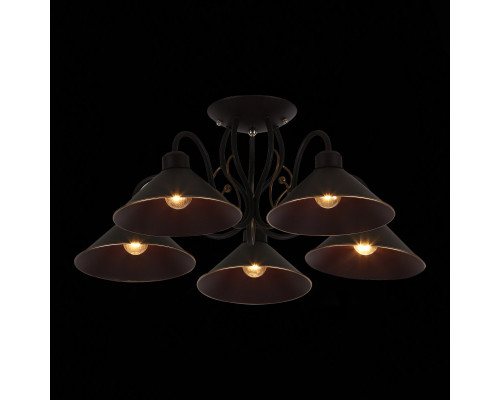 Оформить заказ Люстра на штанге Evoluce SLE120402-05| VIVID-LIGHT.RU