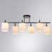 Купить Люстра на штанге ARTE Lamp A4071PL-6BK| VIVID-LIGHT.RU