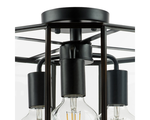 Оформить заказ Люстра на штанге Lightstar 798237| VIVID-LIGHT.RU