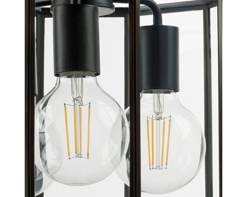 Оформить заказ Люстра на штанге Lightstar 798237| VIVID-LIGHT.RU