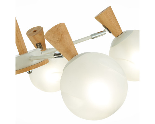 Сделать заказ Люстра на штанге Evoluce SLE220702-05| VIVID-LIGHT.RU