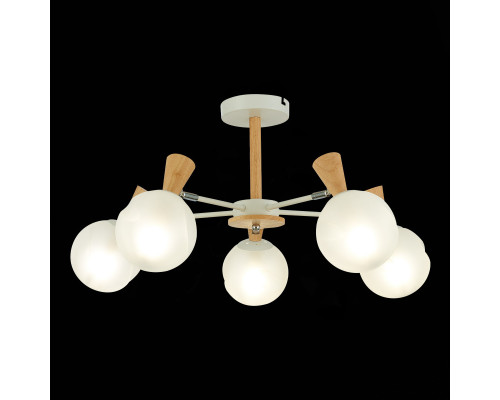 Сделать заказ Люстра на штанге Evoluce SLE220702-05| VIVID-LIGHT.RU