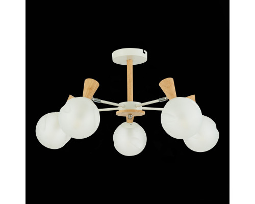 Сделать заказ Люстра на штанге Evoluce SLE220702-05| VIVID-LIGHT.RU