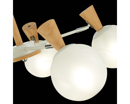 Сделать заказ Люстра на штанге Evoluce SLE220702-05| VIVID-LIGHT.RU