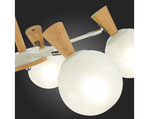 Сделать заказ Люстра на штанге Evoluce SLE220702-05| VIVID-LIGHT.RU