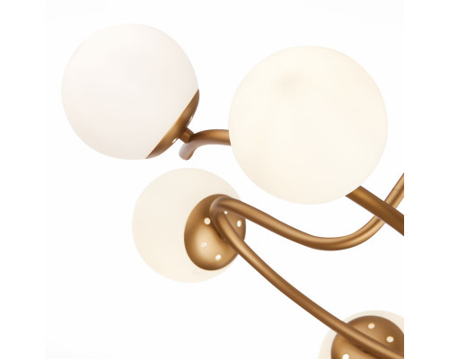 Оформить заказ Люстра на штанге Evoluce SLE220602-06| VIVID-LIGHT.RU