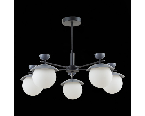 Заказать Люстра на штанге Evoluce SLE220202-05| VIVID-LIGHT.RU