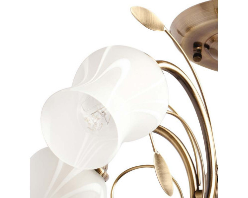 Оформить заказ Люстра на штанге MW-Light 256018205| VIVID-LIGHT.RU