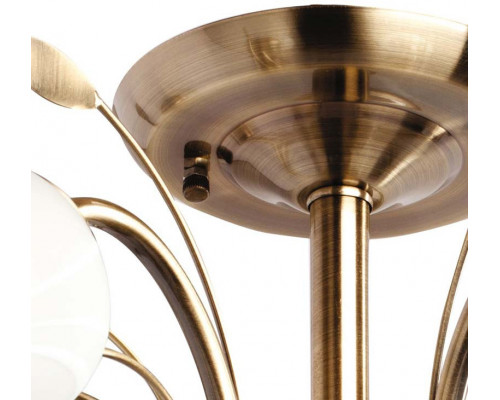 Оформить заказ Люстра на штанге MW-Light 256018205| VIVID-LIGHT.RU