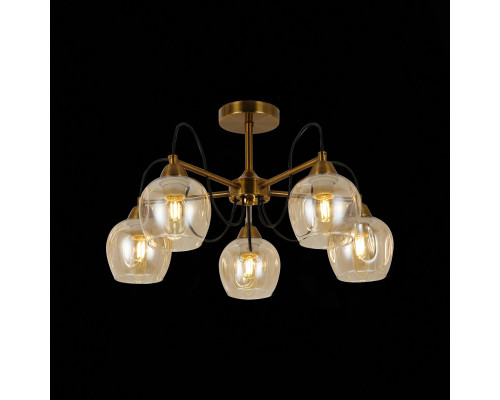 Оформить заказ Люстра на штанге Evoluce SLE110002-05| VIVID-LIGHT.RU