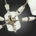 Купить Люстра на штанге Evoluce SLE107802-05| VIVID-LIGHT.RU