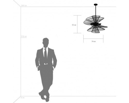 Сделать заказ Люстра на штанге Lightstar 728183| VIVID-LIGHT.RU