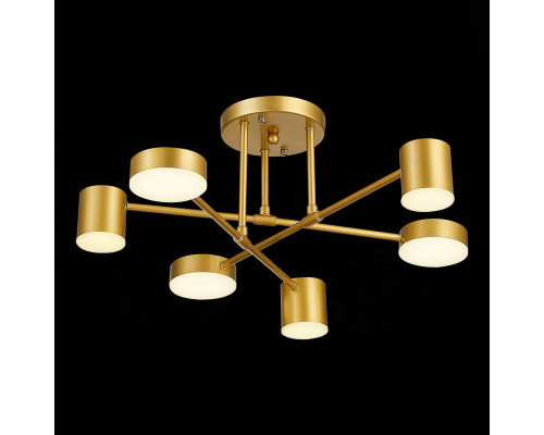 Заказать Люстра на штанге Evoluce SLE201022-06| VIVID-LIGHT.RU