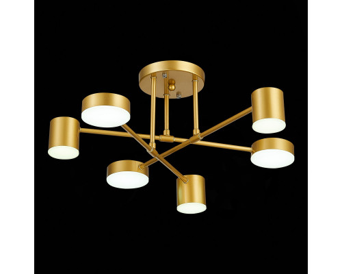 Заказать Люстра на штанге Evoluce SLE201022-06| VIVID-LIGHT.RU