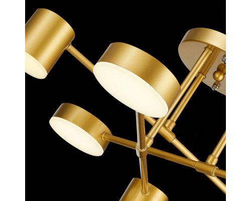 Заказать Люстра на штанге Evoluce SLE201022-06| VIVID-LIGHT.RU