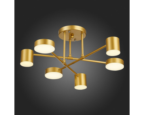 Заказать Люстра на штанге Evoluce SLE201022-06| VIVID-LIGHT.RU